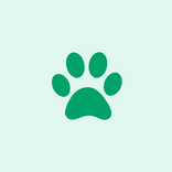 Animal Identifier