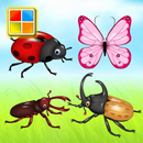昆虫学习卡 : 英语学习 APK