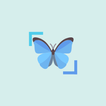 InsectID - Identify Insects ไอคอน