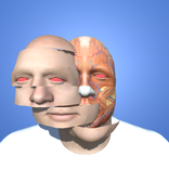 Face Stack