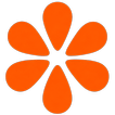 lilypad icon