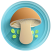 AI Mushroom Identifier APK