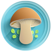 AI Mushroom Identifier icon