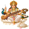 Twinkle Star English High Scho APK