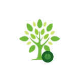 Sustainable Forest SSMS