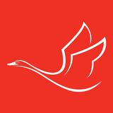 Gogobli Outlet Apps aplikacja
