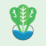 PlantGo - Berkebun Hidroponik