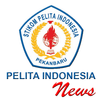 Pelita Indonesia News APK