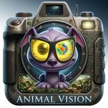 Animal Vision Adventure Box