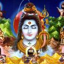 Shiv Bhajans APK