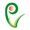 PVStore icon