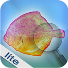 Fishbook Lite icon