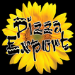 Pizza Export Decima Zeichen