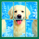 Jigblock: Solitaire Puzzle