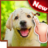 Jigsaw Puzzles Blocks Tangram