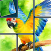 Jigsaw Solitaire Sort Puzzle APK