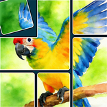 Jigsaw Solitaire Sort Puzzle