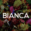 BIANCA CLINIC APK