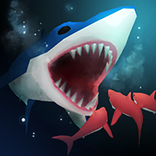 ”Shark Fest