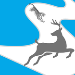 Animal Chase