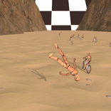Bicycle Race