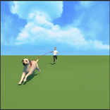 Dog Walking Master