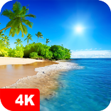 ⁦Fondos de océano 4K⁩