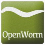 WormWorx++
