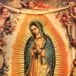 Novena Virgen De Guadalupe