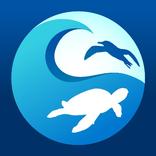 ”Clean Swell