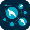 SIREN Network icon