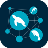 SIREN Network