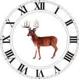Best Hunting Times