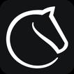 آیکون‌ Lichess