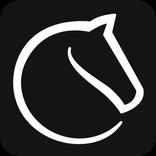Lichess
