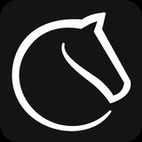 Lichess APK