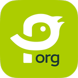 Pássaros.org