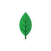 MongoDB biểu tượng