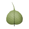 Bodhi Timer APK
