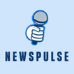 NewsPulse 圖標