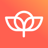Zinnia TV
