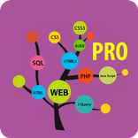 Learn Web Development Pro