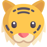 Indian Mammals