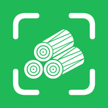 Lumber Counter: Log Counting