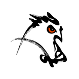 Birds of Mongolia