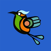 Torogoz icon