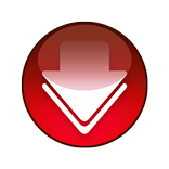 Video Downloader Pro