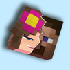 Mods, skins for MC PE APK