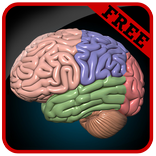 Brain Game