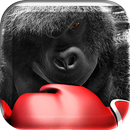 Monkey Boxing Live Wallpaper APK